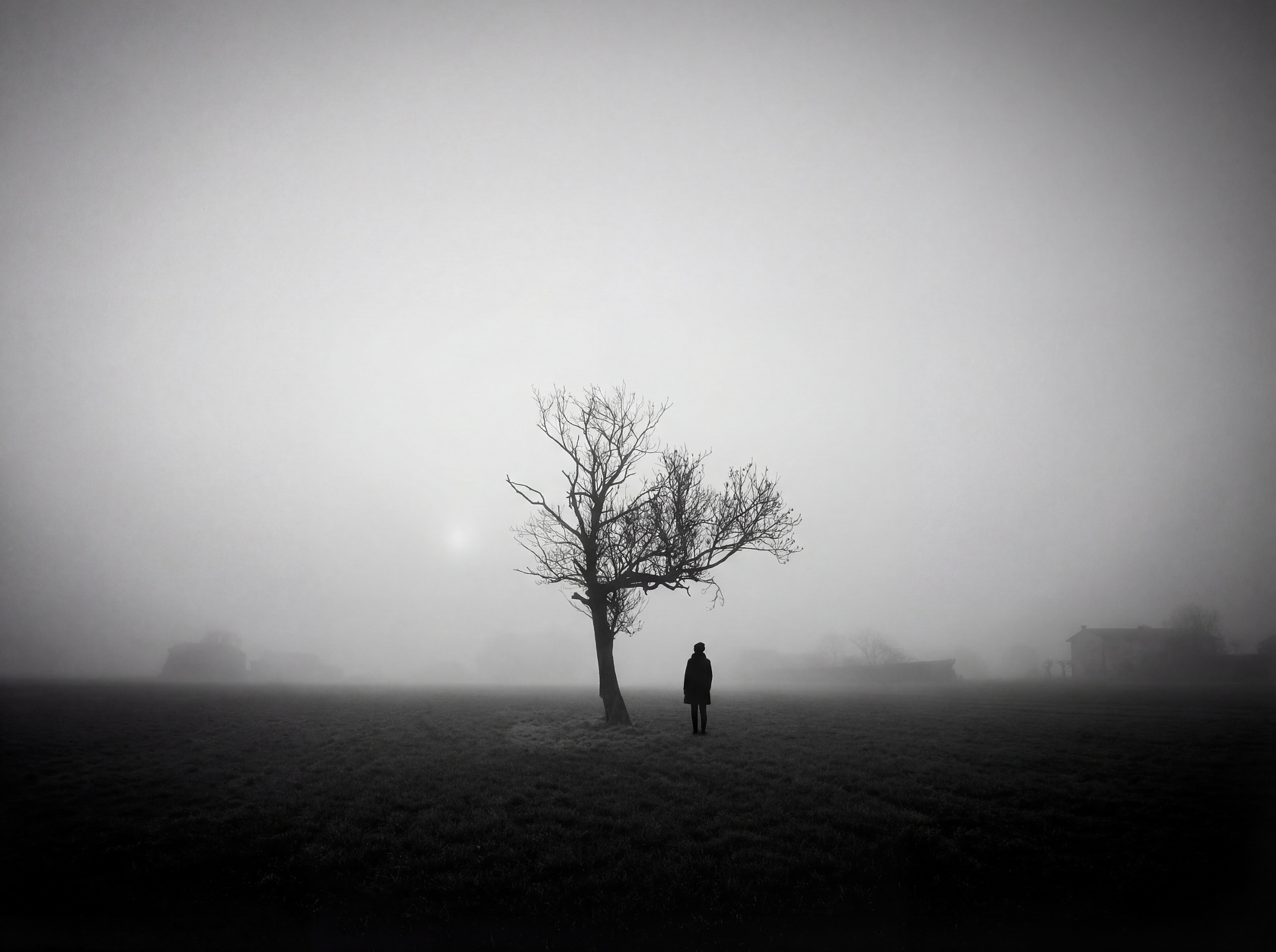 Black and white landscape photography of a lone tree and figure in fog.