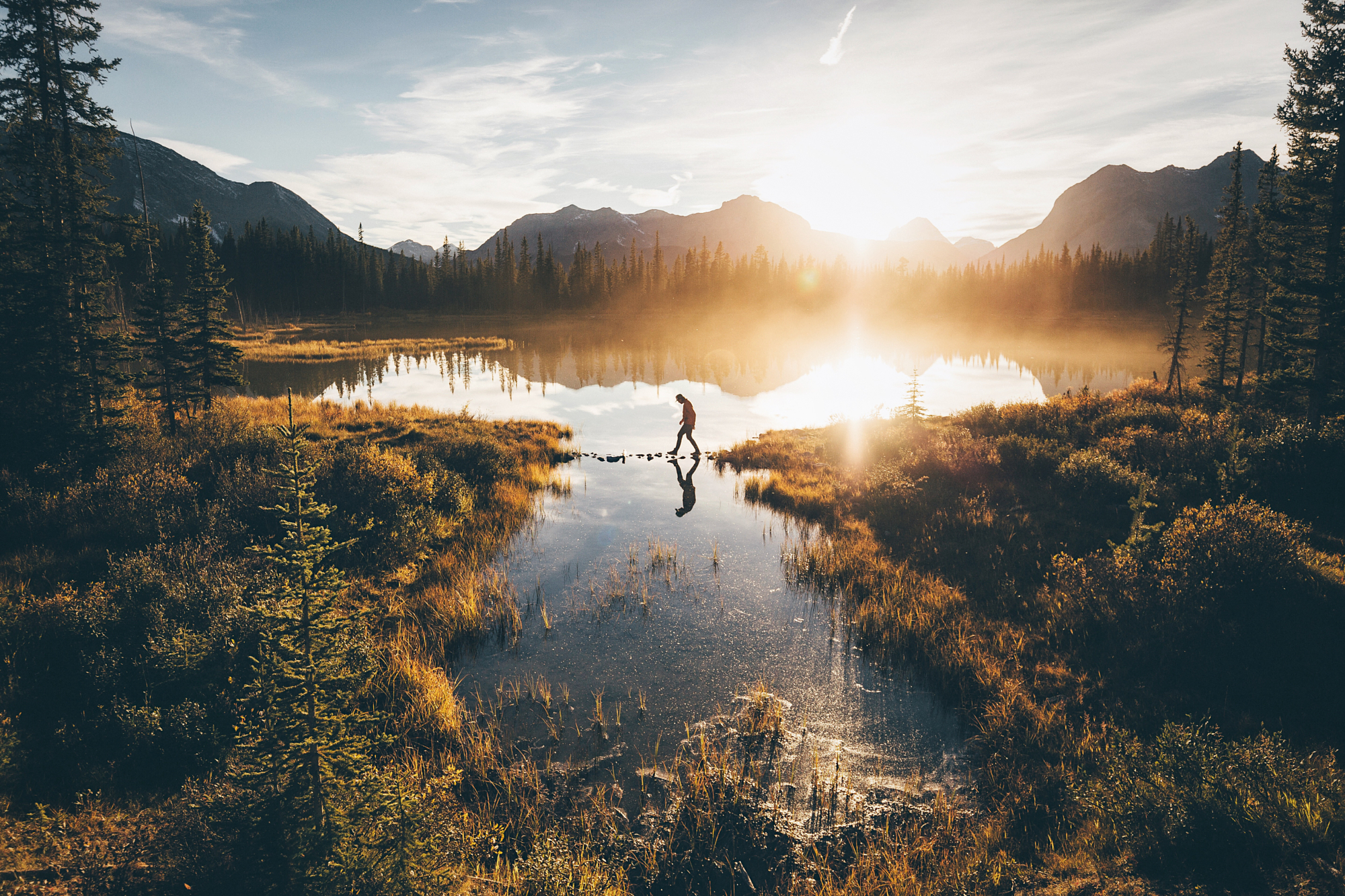 Chasing Golden Hour: Soft Light That Elevates Every Shot
