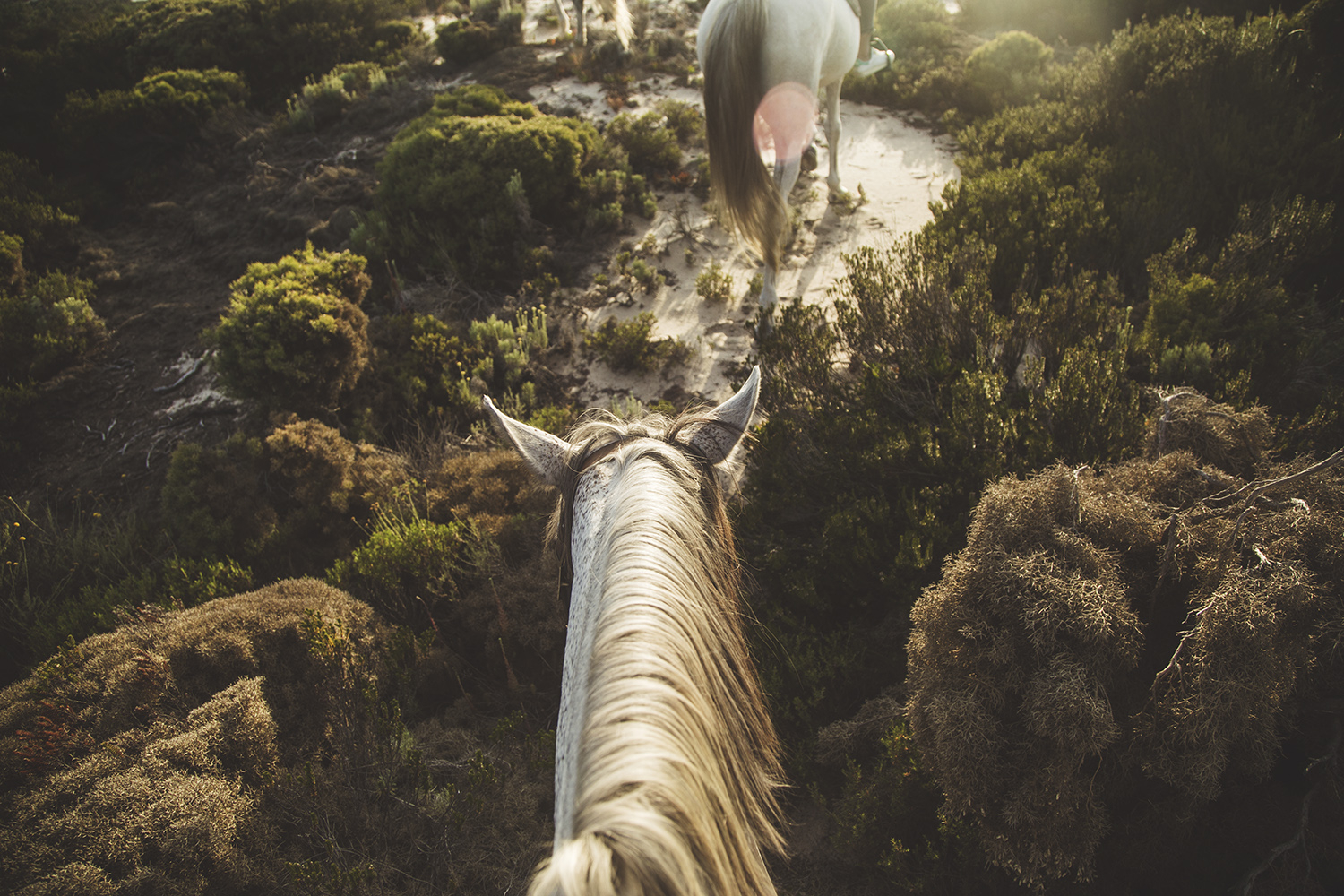 First-person view of horseback riding through coastal trails, illustrating outdoor lifestyle portrait photography in Lisbon.