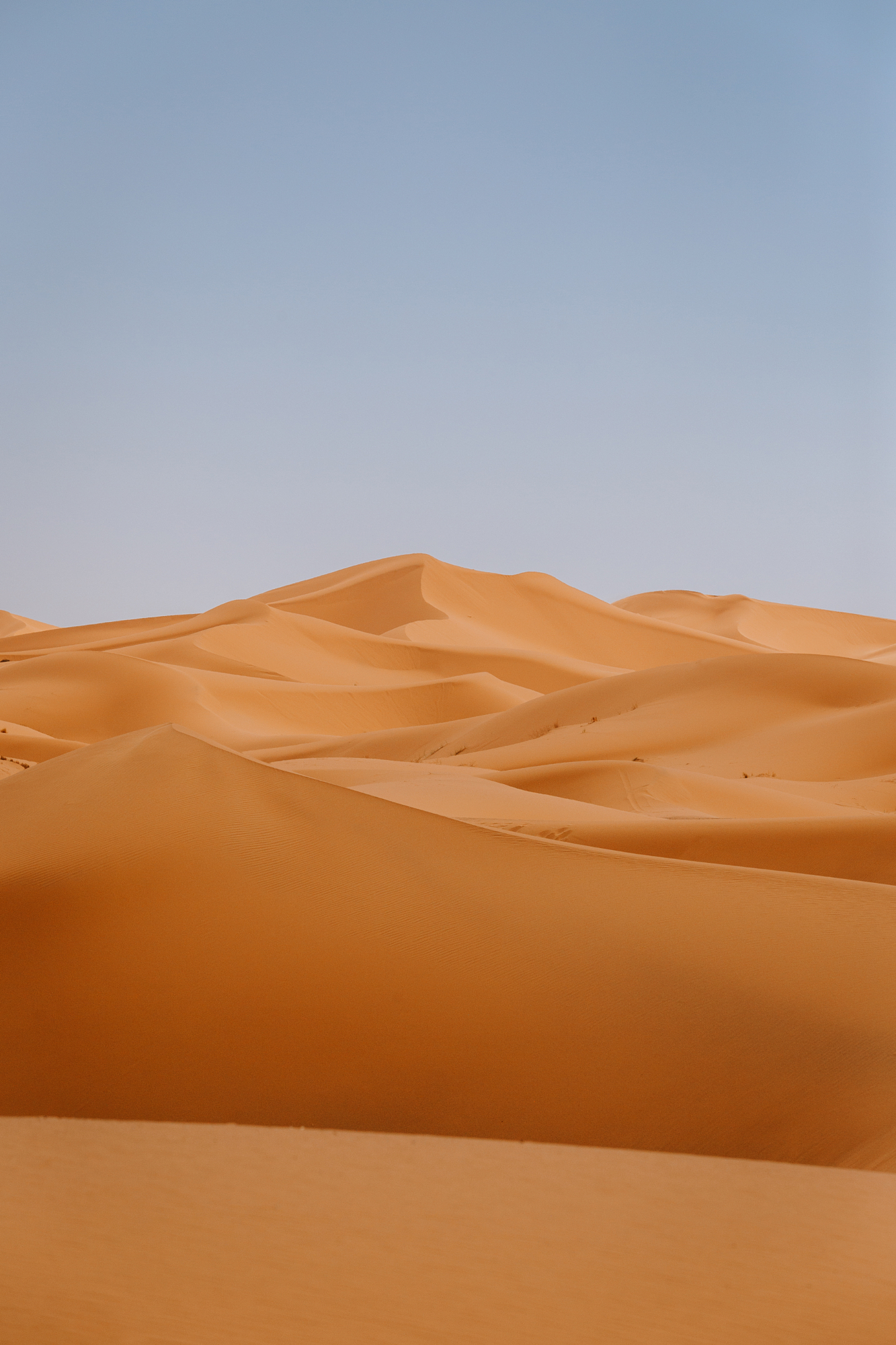 Rolling golden sand dunes layers stretching out under a soft sky in the Sahara Desert, a perfect example of minimalist fine-art style in Younes Ezzentri landscape photography.