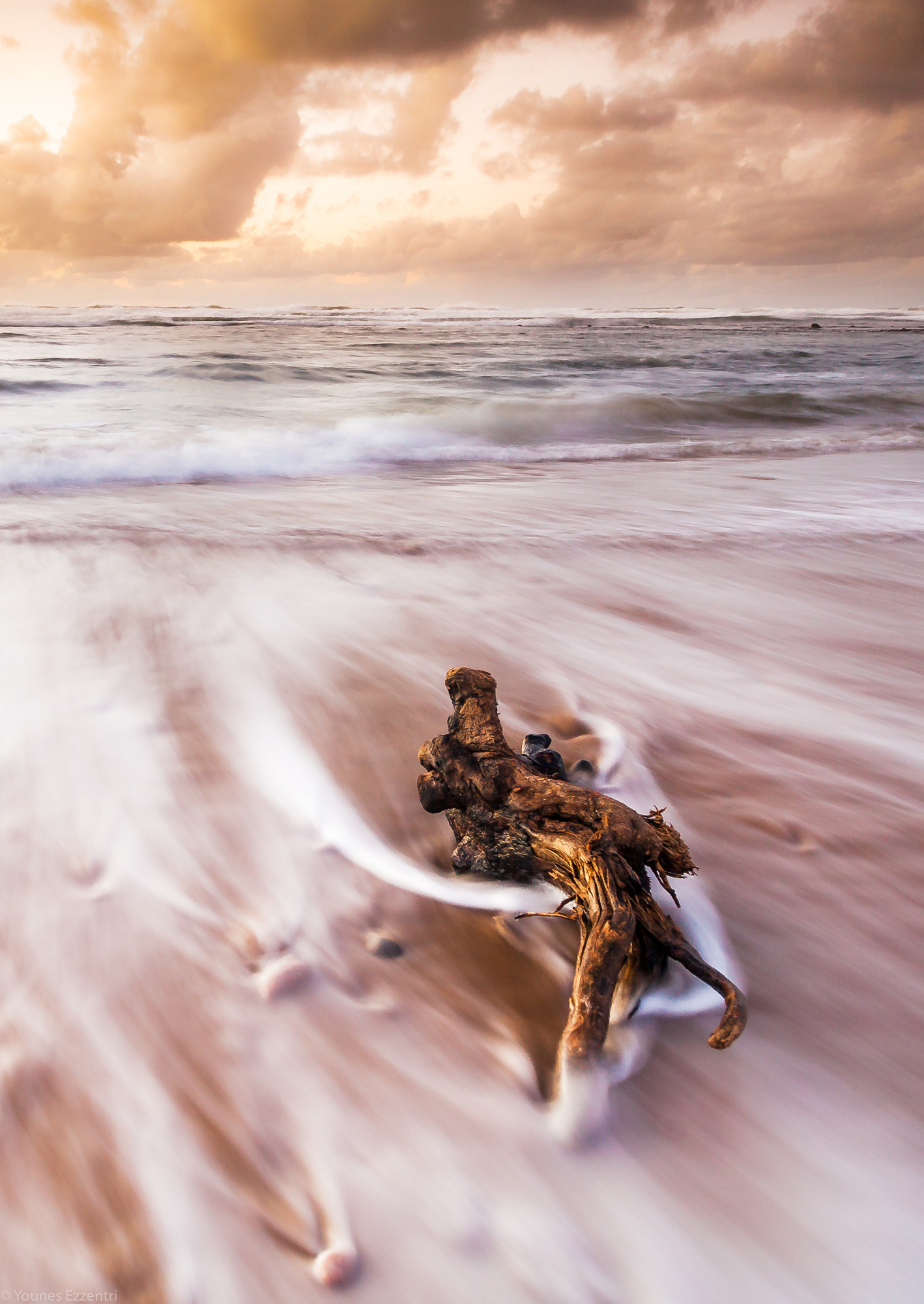 A piece of gnarled driftwood on a sandy beach with long-exposure water swirling around it under warm golden clouds, highlighting the texture in Younes Ezzentri's work.