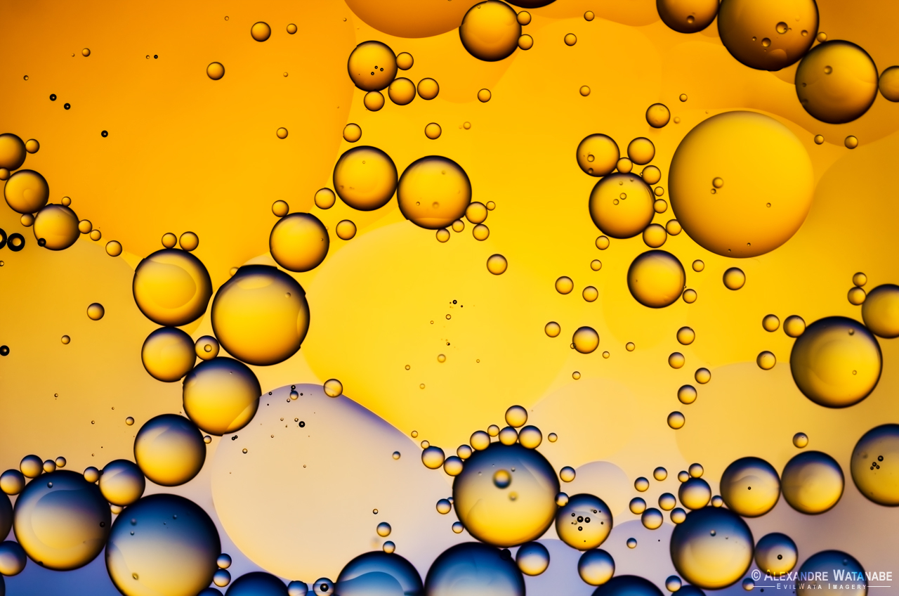 Macro abstract of oil bubbles in yellow and blue, an example of complementary colors in photography