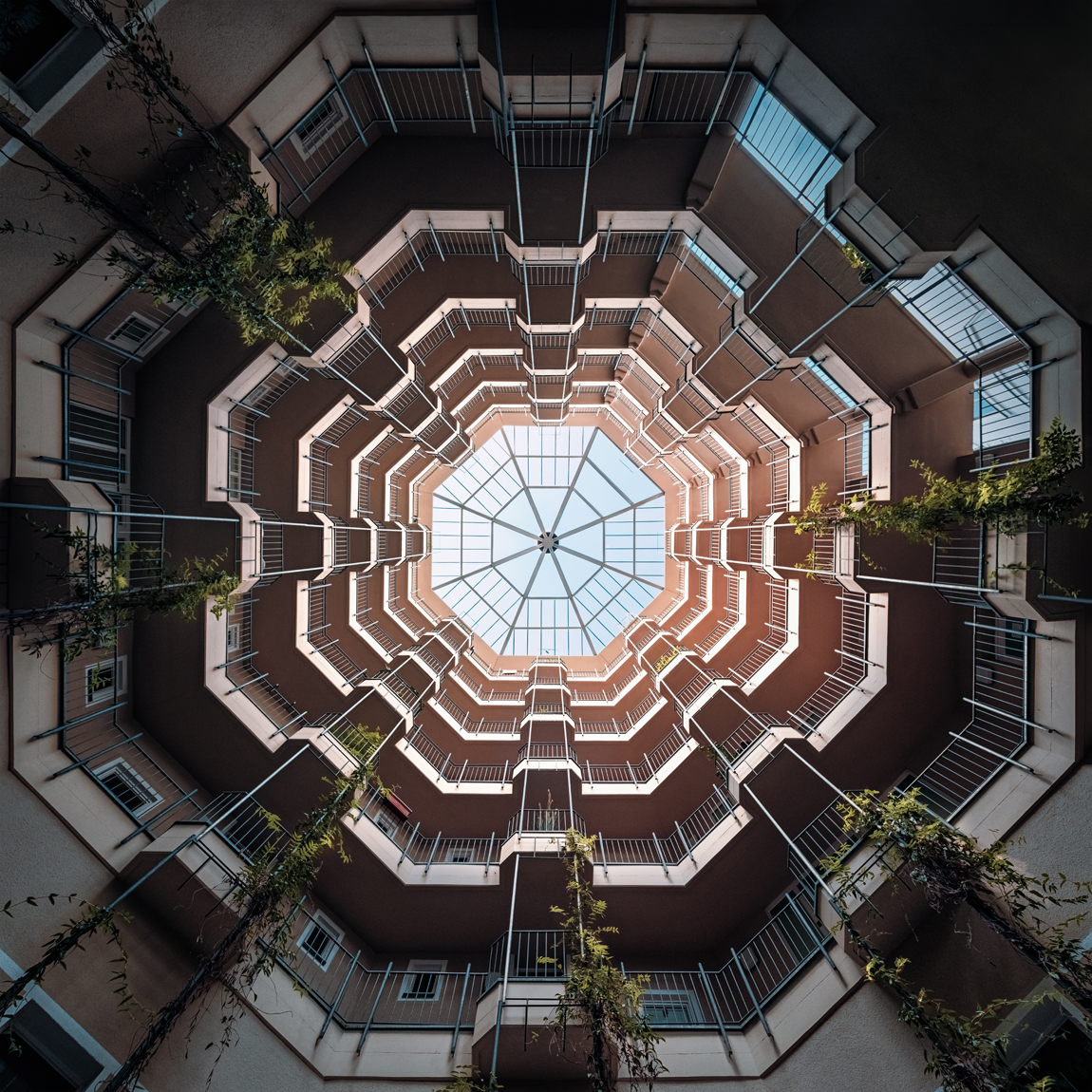 Octagonal courtyard photographed straight up toward a glass skylight