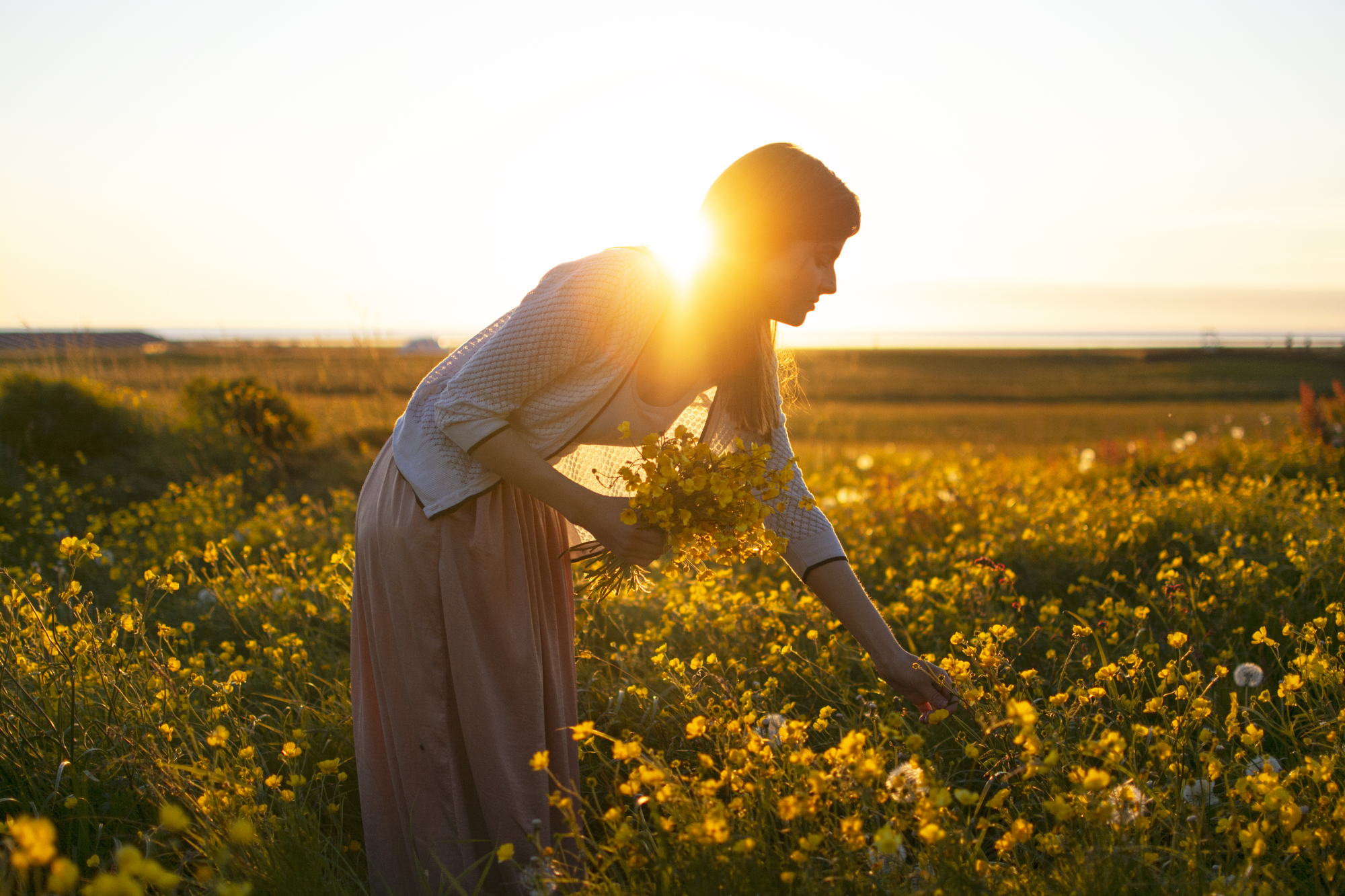 Woman gathering yellow wildflowers in a field at sunset during golden hour, photographer Gonzalo Bendito