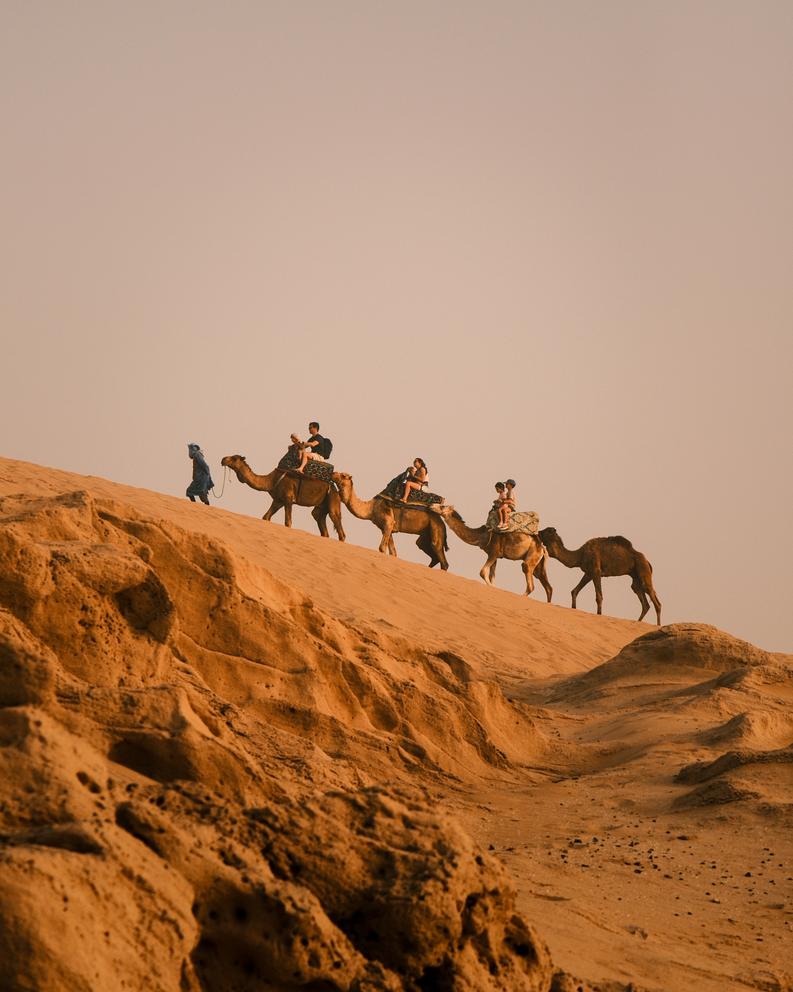Camel caravan crossing a sunlit dune ridge in the Moroccan desert