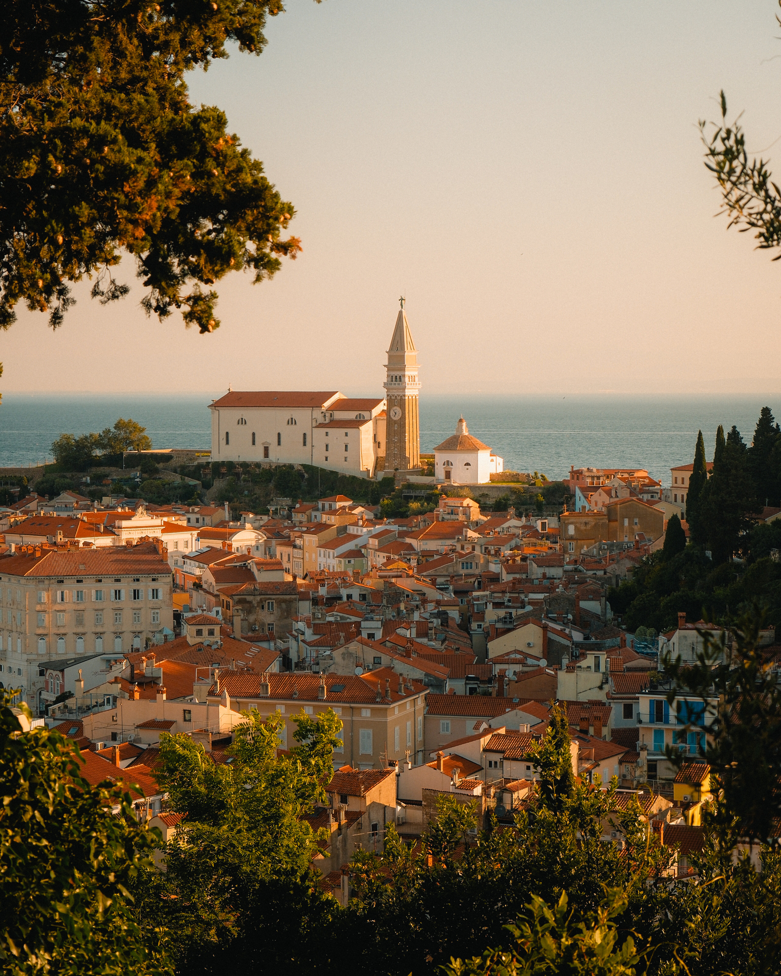 Vertical composition photography of a red-roofed coastal old town and bell tower at golden hour