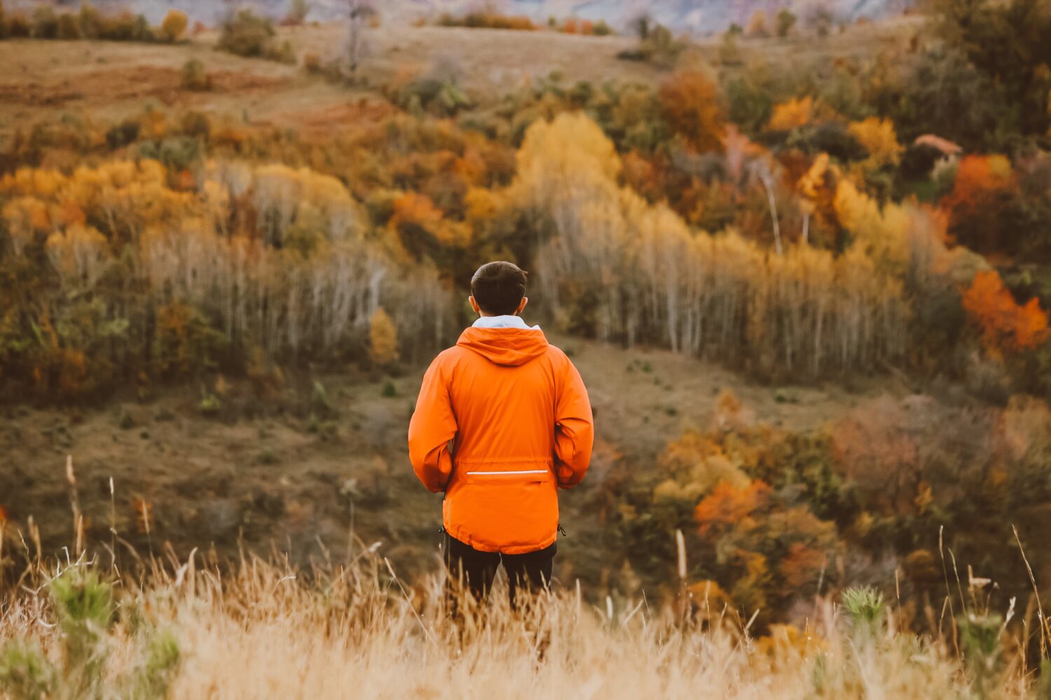 Beyond the Postcard: Fresh Approaches to Fall Foliage Photography