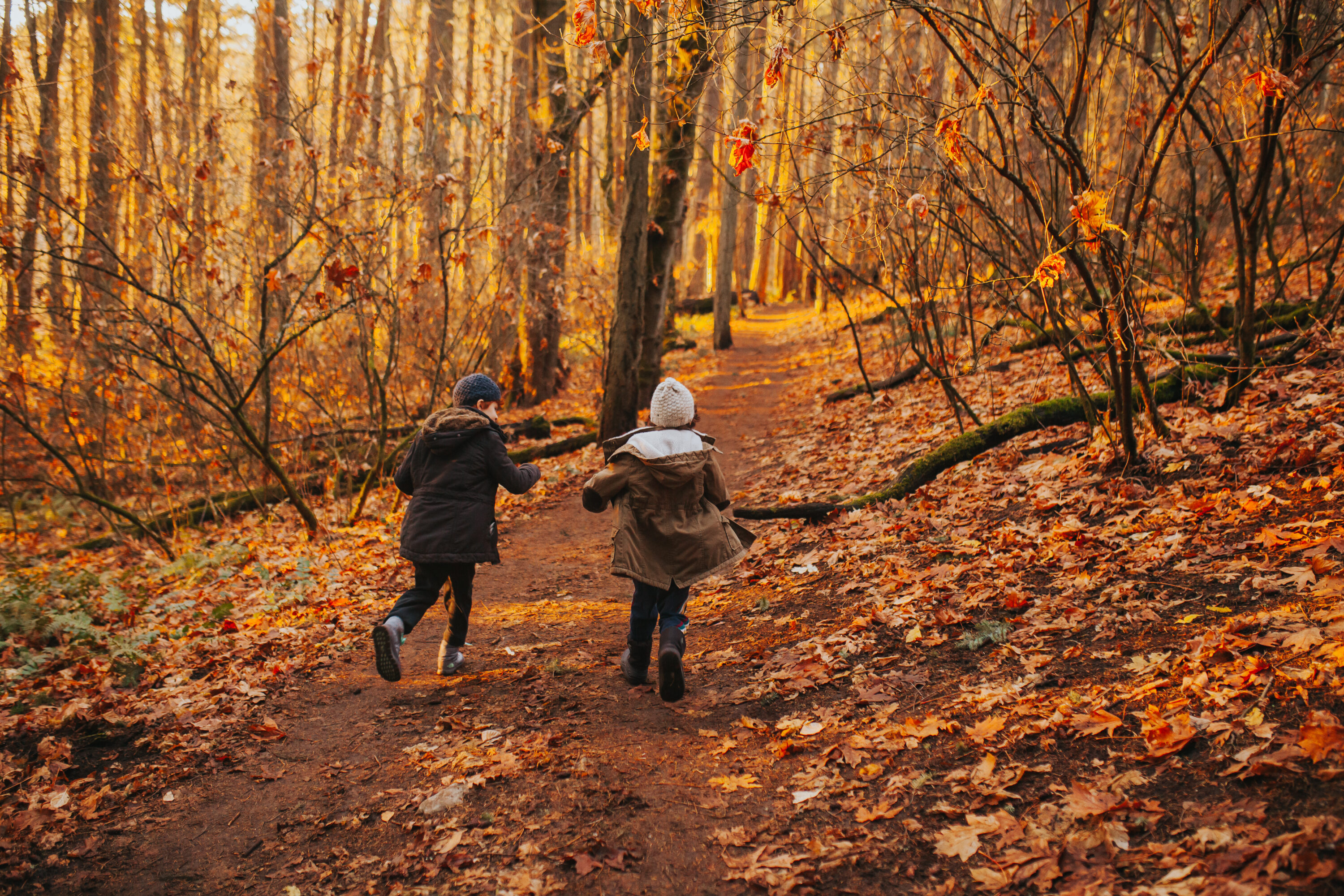 From Everyday Scenes to Meaningful Stories