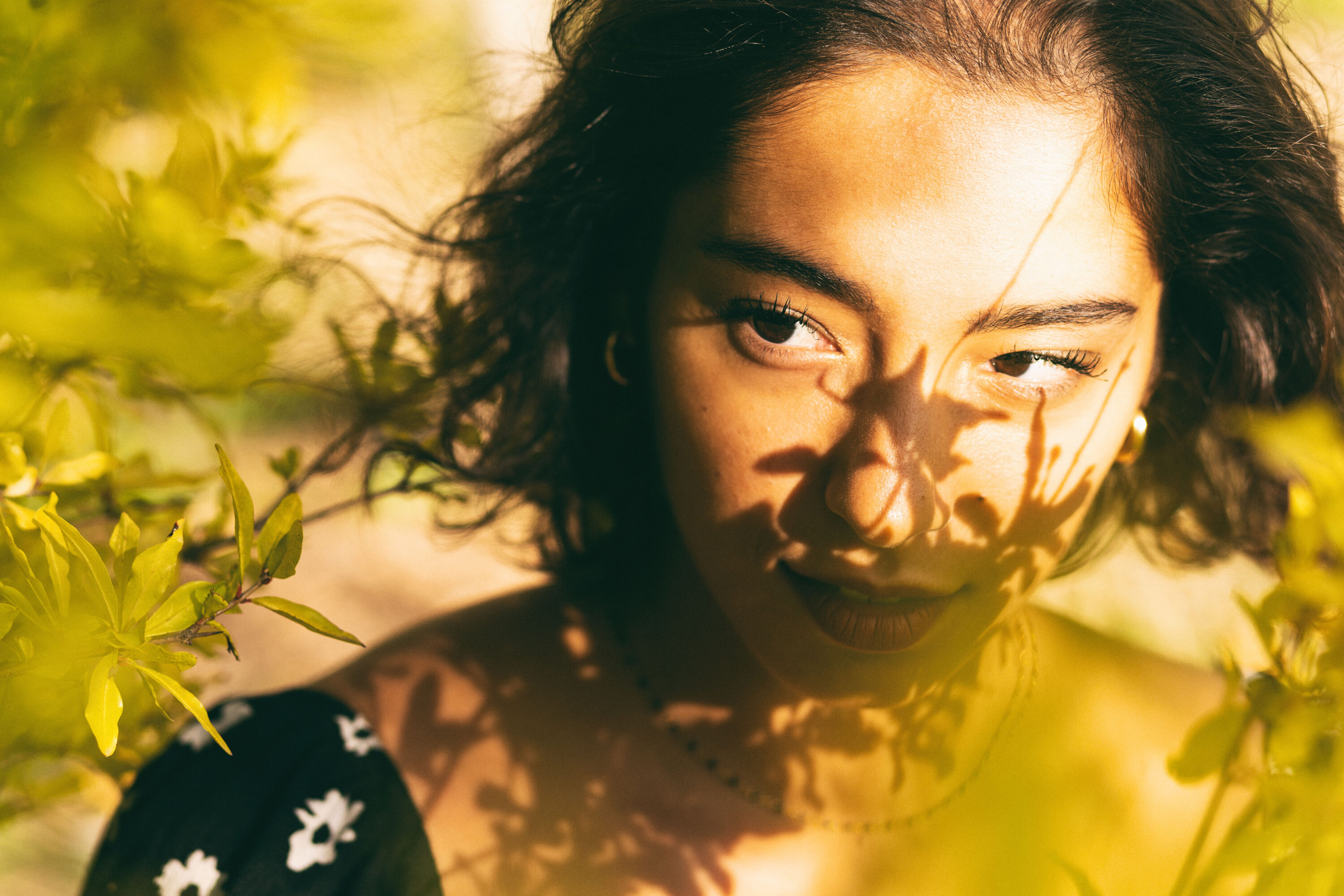 Using Color to Shape Emotion in Photography