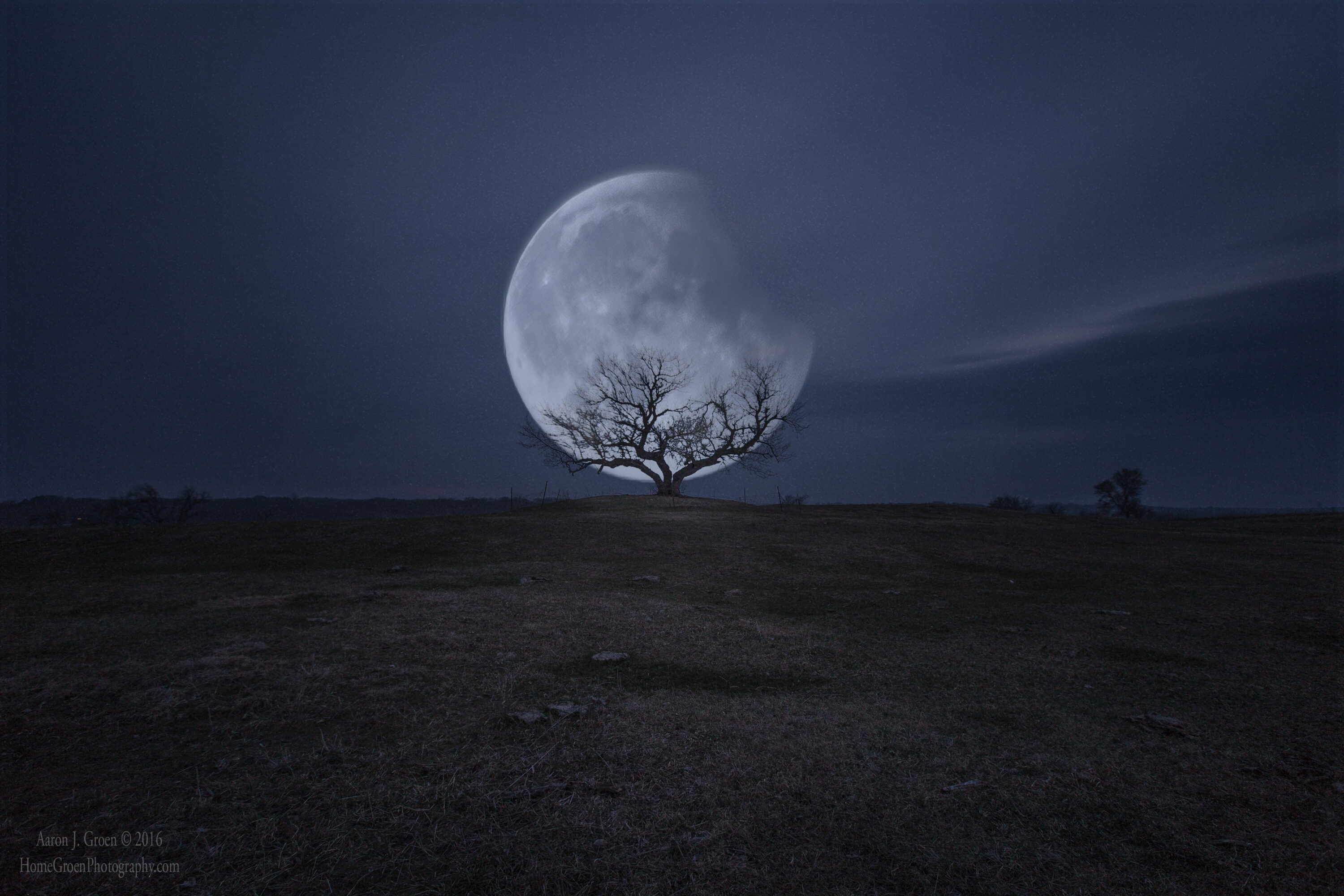 Dark and Moody Photography: Creating Eerie Atmosphere for Halloween